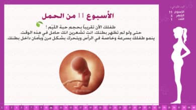 Photo of الأسبوع 11 من الحمل : إرشادات وحقائق
