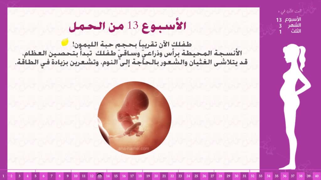 الاسبوع 33 من الحمل