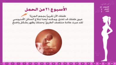 Photo of الأسبوع 21 من الحمل : إرشادات وحقائق