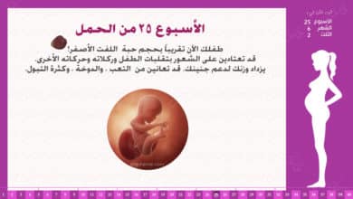 Photo of الأسبوع 25 من الحمل : إرشادات وحقائق
