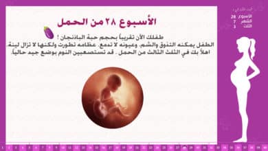 Photo of الأسبوع 28 من الحمل : إرشادات وحقائق