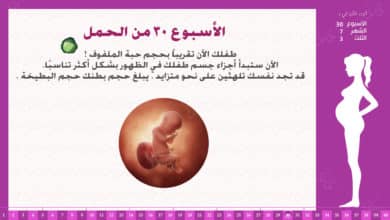 Photo of الأسبوع 30 من الحمل : إرشادات وحقائق