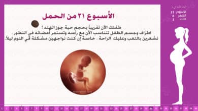 Photo of الأسبوع 31 من الحمل : إرشادات وحقائق