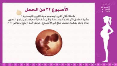 Photo of الأسبوع 32 من الحمل : إرشادات وحقائق