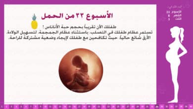 Photo of الأسبوع 33 من الحمل : إرشادات وحقائق