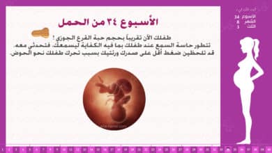 Photo of الأسبوع 34 من الحمل : إرشادات وحقائق
