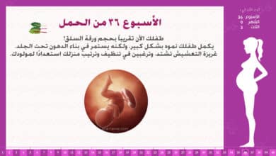 Photo of الأسبوع 36 من الحمل : إرشادات وحقائق
