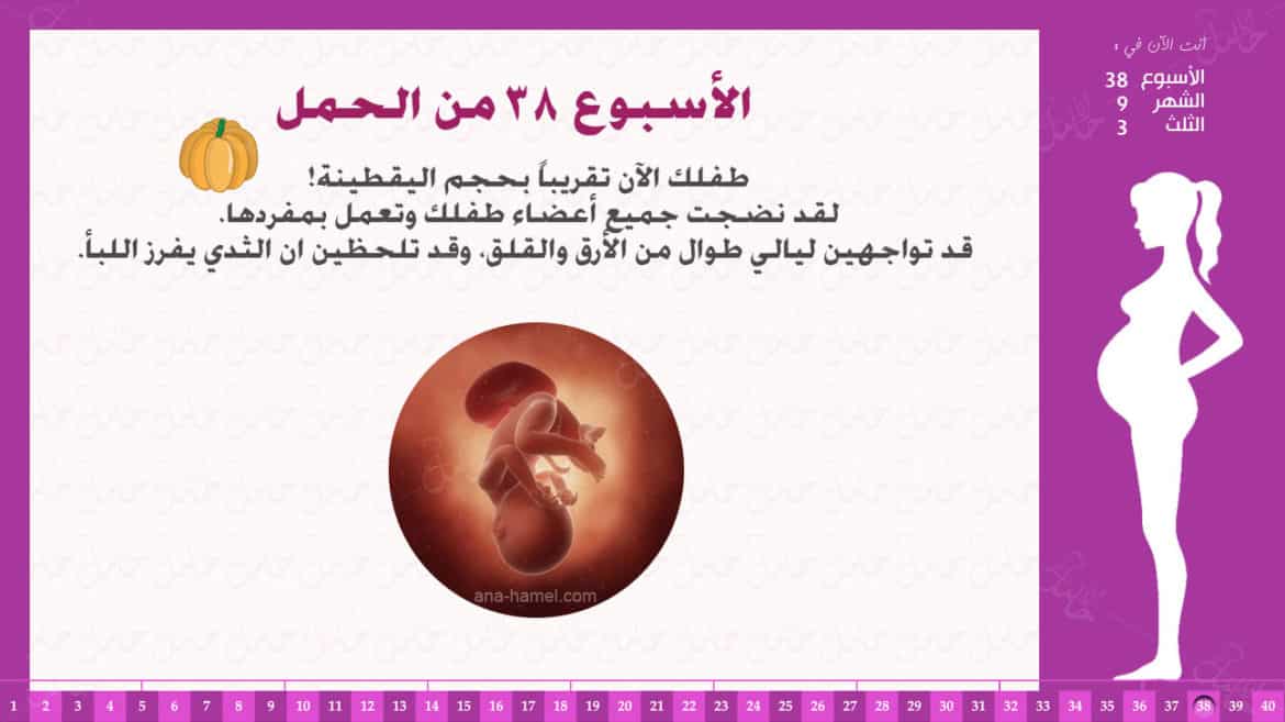 الأسبوع 38 من الحمل