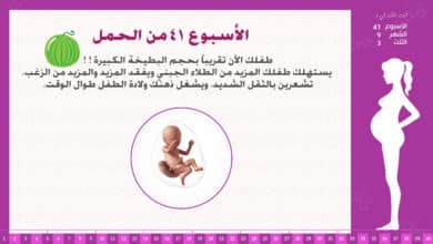 Photo of الأسبوع 41 من الحمل : إرشادات وحقائق