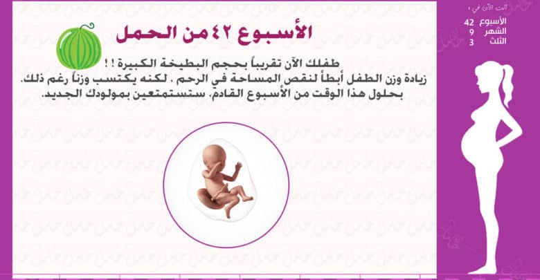 Photo of الأسبوع 42 من الحمل : إرشادات وحقائق