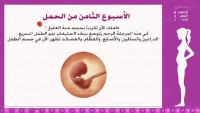 Photo of الأسبوع الثامن من الحمل : إرشادات وحقائق