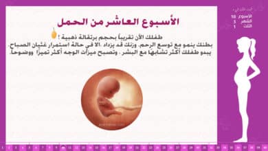 Photo of الأسبوع العاشر من الحمل : إرشادات وحقائق