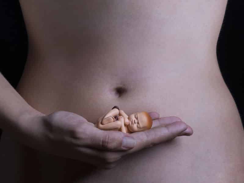 الجنين في خامس أسبوع من الحمل