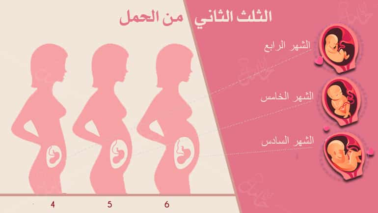 الثلث الثاني من الحمل – أعراضه وكيف تجعلين حملكِ أكثر متعة!