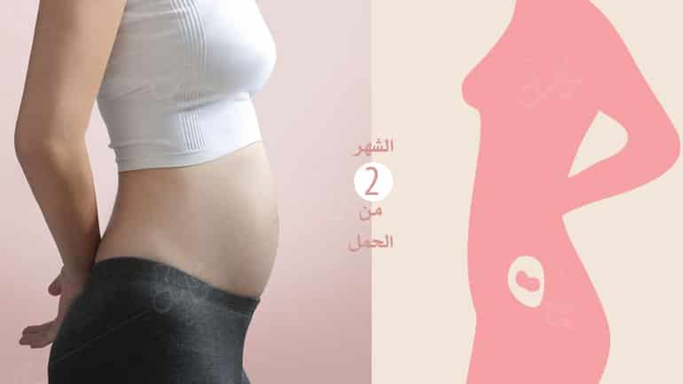 الحمل في الشهر الثاني-أعراضه ونصائح مهمة لكِ