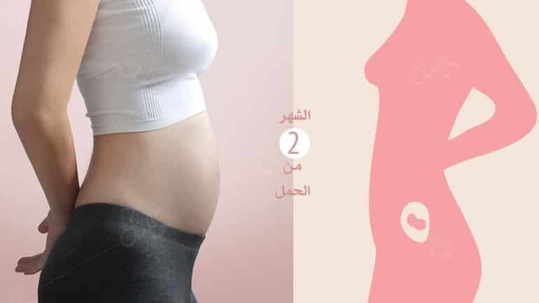 الحمل في الشهر الثاني-أعراضه ونصائح مهمة لكِ الحمل في الشهر الثاني-أعراضه ونصائح مهمة لكِ