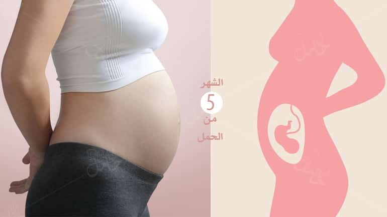 الحمل في الشهر الخامس-أعراضه ومعلومة مهمة عن كل أسبوع