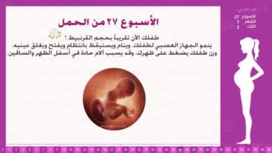 Photo of الأسبوع 27 من الحمل : إرشادات وحقائق
