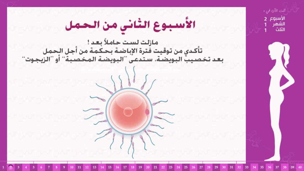 الاسبوع 33 من الحمل