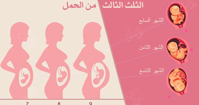 Photo of الثلث الثالث من الحمل : ما يحصل لك وللجنين في ثالث ثلث؟