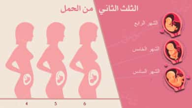 Photo of الثلث الثاني من الحمل : ما يحصل لك وللجنين في ثاني ثلث؟
