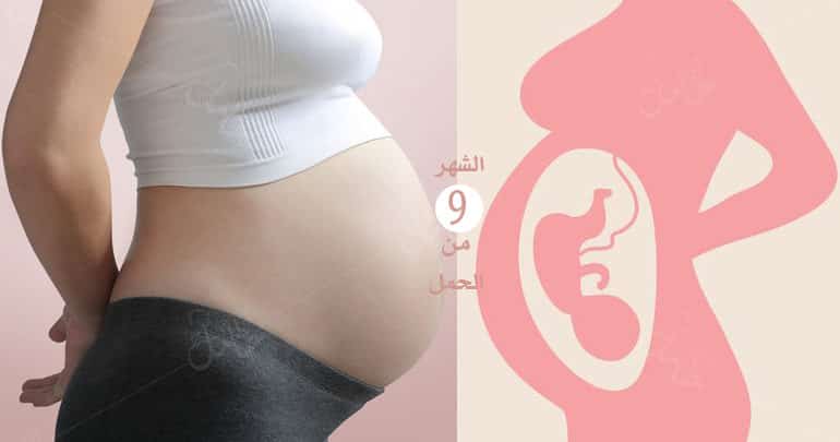 Photo of الشهر التاسع من الحمل : ما يحصل لك وللجنين في تاسع شهر؟
