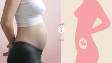 Photo of الشهر الثالث من الحمل : ما يحصل لك وللجنين في ثالث شهر؟