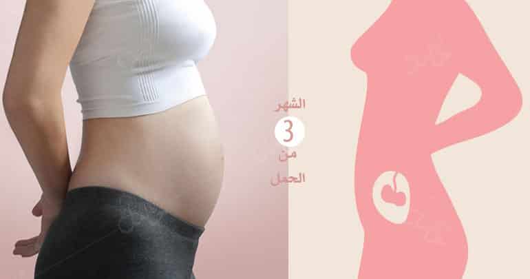 Photo of الشهر الثالث من الحمل : ما يحصل لك وللجنين في ثالث شهر؟