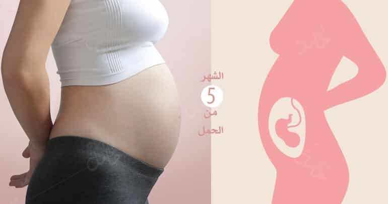 Photo of الشهر الخامس من الحمل : ما يحصل لك وللجنين في خامس شهر؟