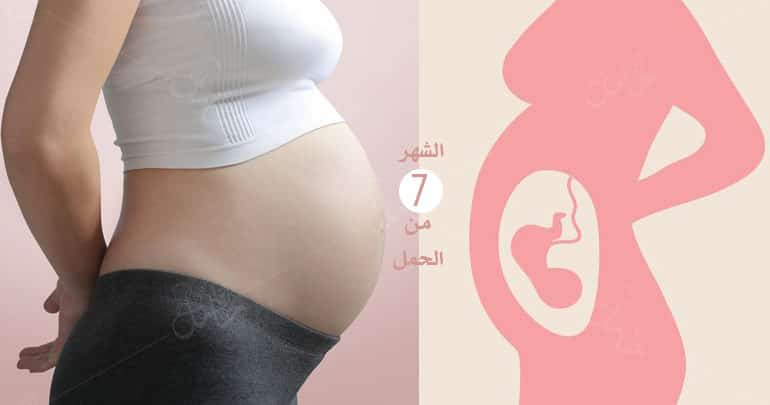 Photo of الشهر السابع من الحمل : ما يحصل لك وللجنين في سابع شهر؟