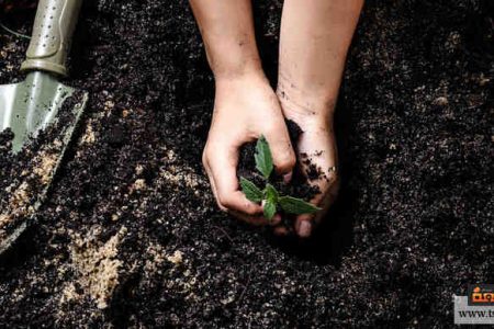 تدهور التربة ما أسبابه وما هي الحلول لمعالجة المشكلة تسعة بيئة