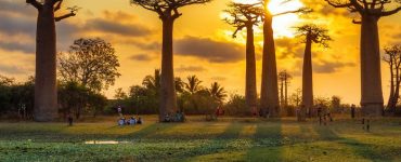 التهديدات البيئية في مدغشقر