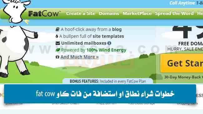 خطوات شراء نطاق او استضافة من فات كاو fat cow