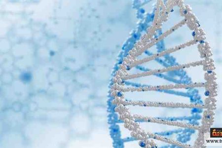 علم الوراثة تعرف على مراحل تطور هذا العلم الهام تسعة اولاد