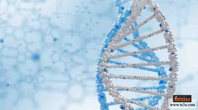 علم الوراثة تعرف على مراحل تطور هذا العلم الهام تسعة اولاد