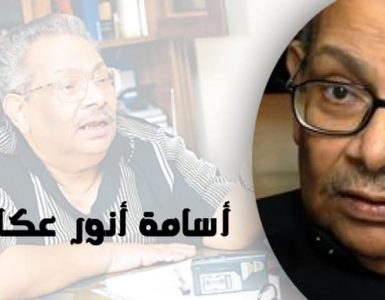 أسامة أنور عكاشة
