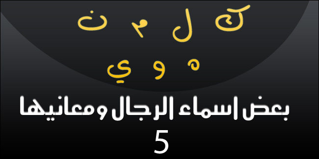 خطواتك لتتعرف على شجرة العائلة كيف تعرف شجرة عائلتك