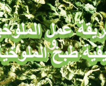 طريقة عمل الملوخيه وكيفية طبخ الملوخيه