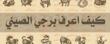 الابراج الصينية اعرف برجك الصيني