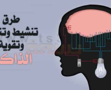 الذاكرة تقوية الذاكرة كيف تقوي الذاكرة