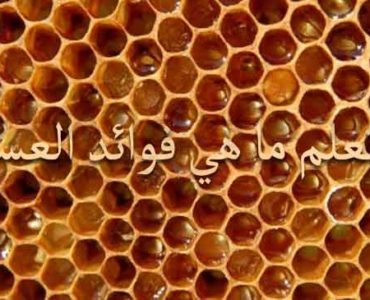 فوائد العسل انواع العسل مشتقات العسل