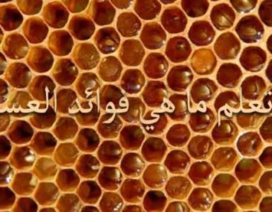فوائد العسل انواع العسل مشتقات العسل