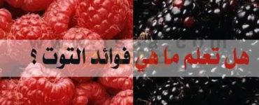 فوائد التوت للجسم والشعر والبشرة