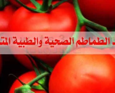 فوائد الطماطم فائدة الطماطم البندورة عصير الطماطم