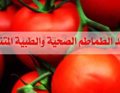 فوائد الطماطم فائدة الطماطم البندورة عصير الطماطم