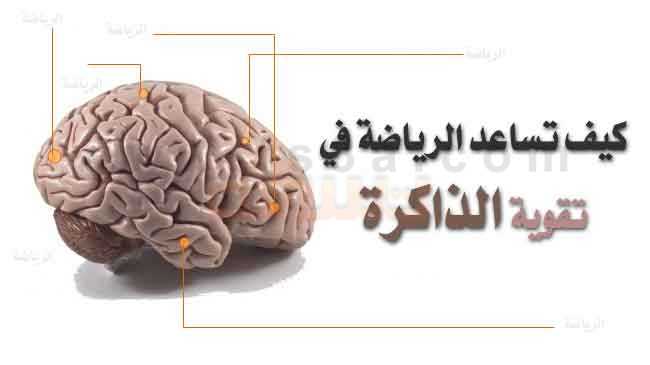 رياضة الدماغ