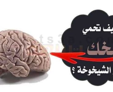 تنشيط العقل الدماغ مخك الشيخوخة