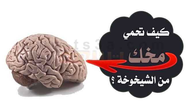 تنشيط العقل الدماغ مخك الشيخوخة