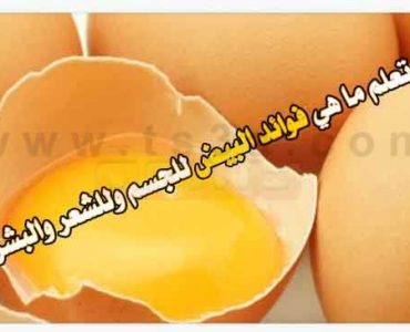 فوائد البيض للجسم للشعر للبشرة