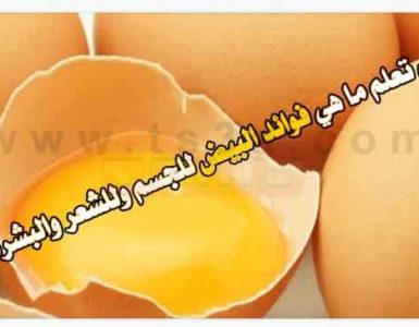 فوائد البيض للجسم للشعر للبشرة